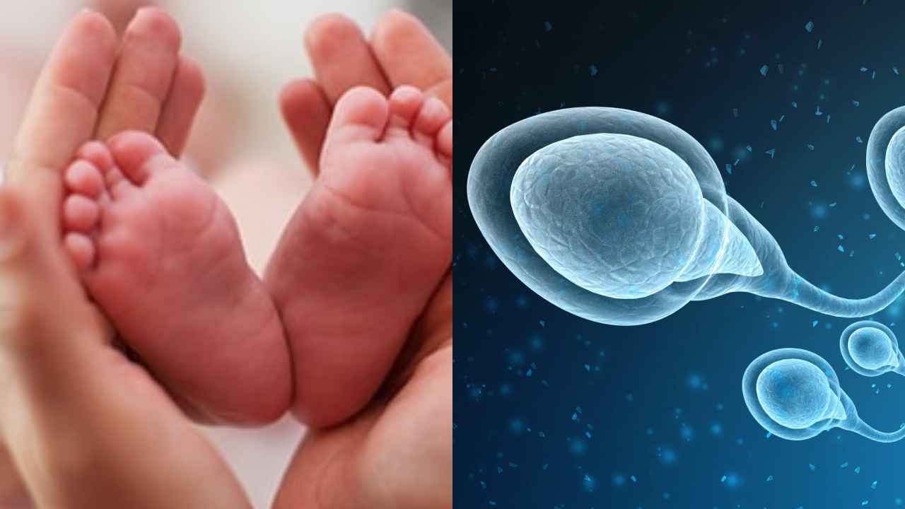 Test Tube Baby Centre: దారుణం.. భర్త వీర్యంతో కాకుండా మరొకరి వీర్యంతో సంతానం.. క్యాన్సర్తో బయటపడ్డ టెస్ట్ ట్యూబ్ సెంటర్ మోసం.. Test Tube Baby Centre: దారుణం.. భర్త వీర్యంతో కాకుండా మరొకరి వీర్యంతో సంతానం.. క్యాన్సర్తో బయటపడ్డ టెస్ట్ ట్యూబ్ సెంటర్ మోసం..
