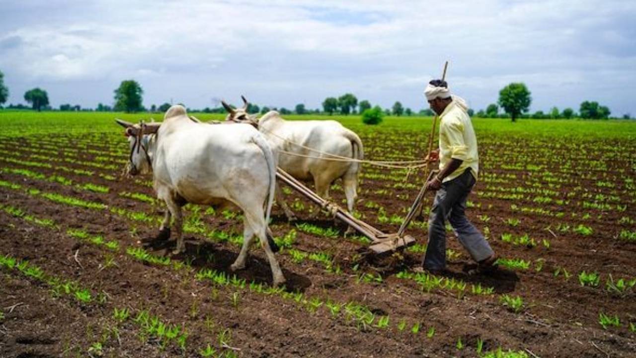 AP: ఏపీ రైతులకు బిగ్ అలర్ట్.. ఇవాళే లాస్ట్ డేట్.. మీరలా చేయకుంటే అన్నదాత సుఖీభవ డబ్బులు పడవ్.. AP: ఏపీ రైతులకు బిగ్ అలర్ట్.. ఇవాళే లాస్ట్ డేట్.. మీరలా చేయకుంటే అన్నదాత సుఖీభవ డబ్బులు పడవ్..