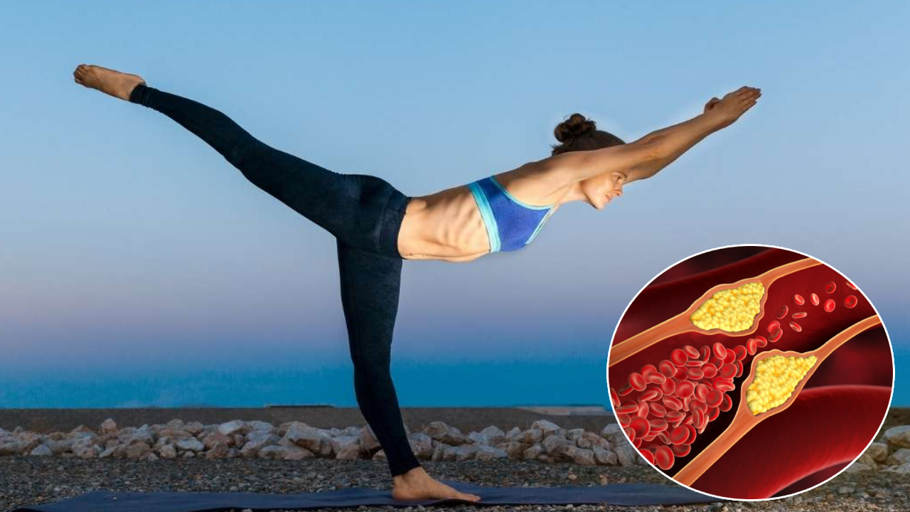 Yoga For Health: ఈ 5 యోగాసనాలతో కొలెస్ట్రాల్ మాయం.. గుండె సేఫ్.. మీరు కూడా తప్పకుండా చేయండి Yoga For Health: ఈ 5 యోగాసనాలతో కొలెస్ట్రాల్ మాయం.. గుండె సేఫ్.. మీరు కూడా తప్పకుండా చేయండి