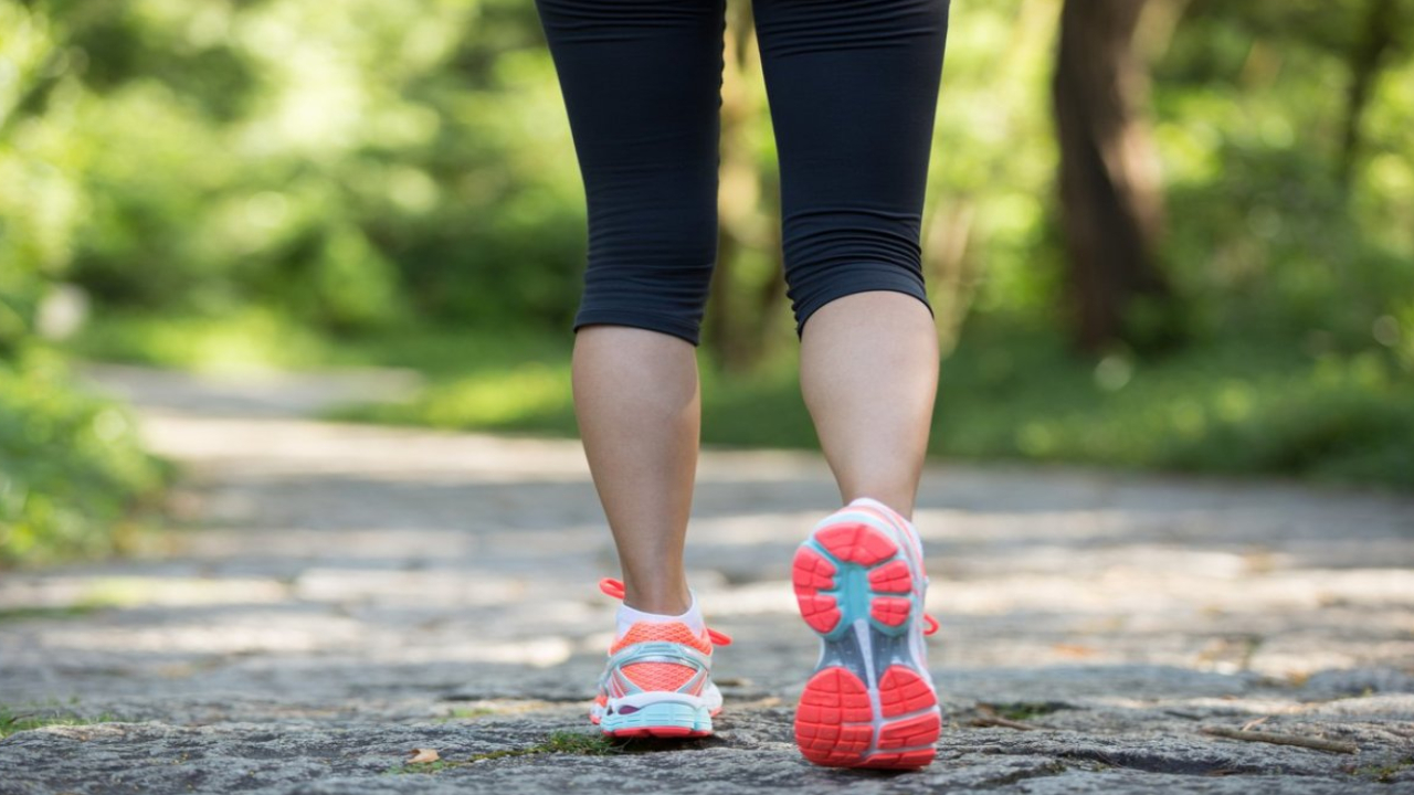 Walking Benefits: ఉదయం నడక మంచిదా? సాయంత్రం నడక మంచిదా? నిపుణులు ఏం చెప్తున్నారు Walking Benefits: ఉదయం నడక మంచిదా? సాయంత్రం నడక మంచిదా? నిపుణులు ఏం చెప్తున్నారు