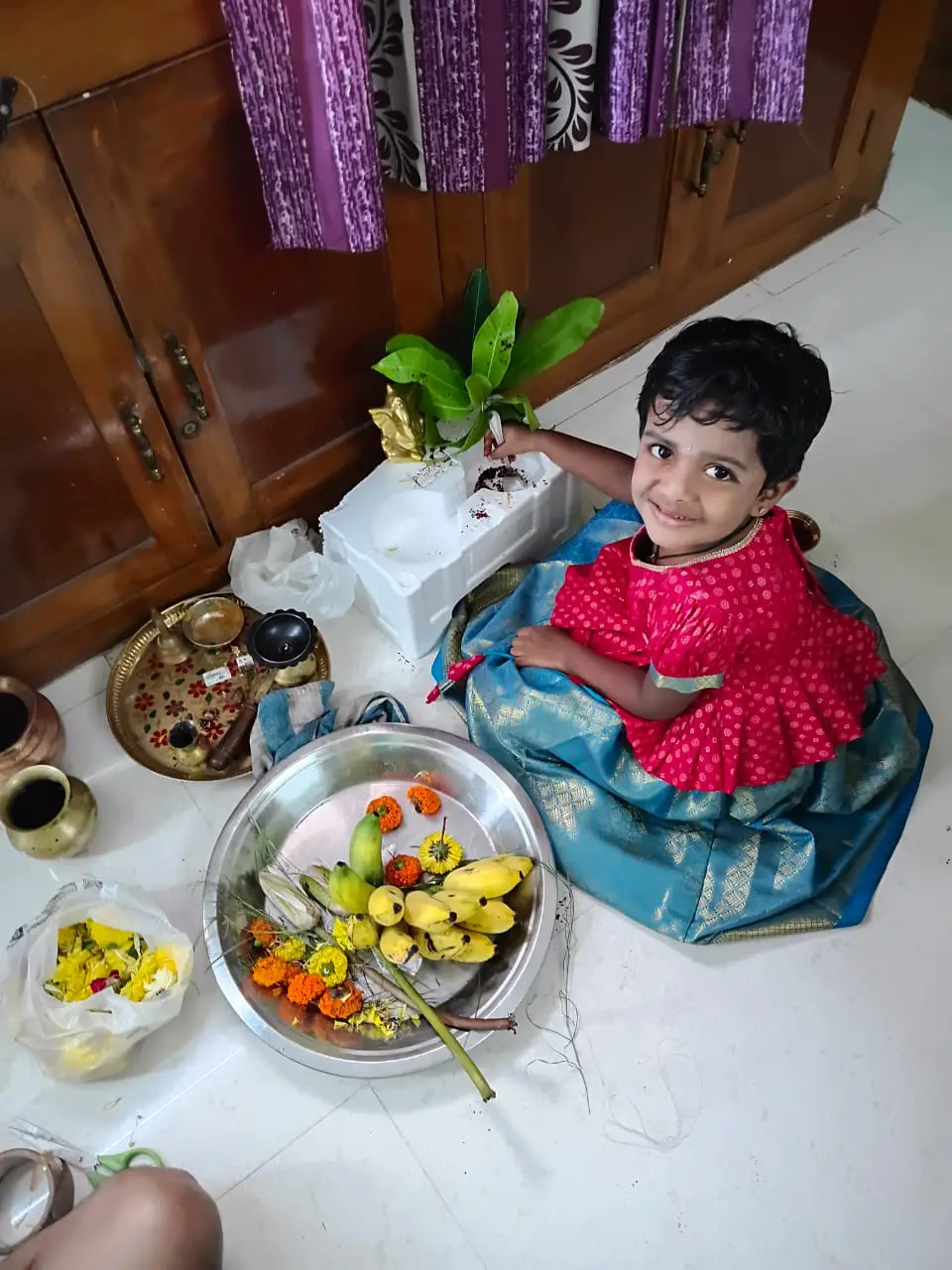 పివి సత్యనారాయణ
