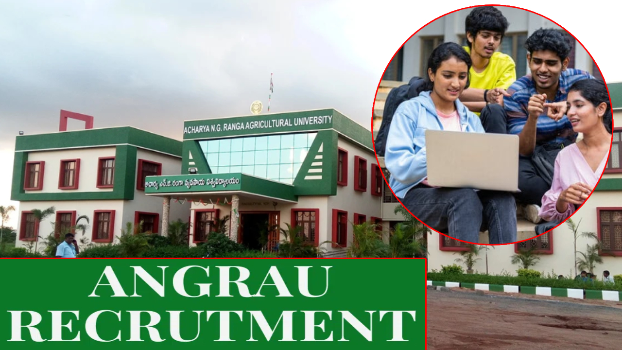ANGRU Recruitment: పరీక్ష లేకుండా ఇంటర్వ్యూ ద్వారా ఎంపిక.. నెలకు రూ.67 వేల జీతం.. ANGRAUలో జాబ్స్.. పూర్తి వివరాలు మీకోసం ANGRU Recruitment: పరీక్ష లేకుండా ఇంటర్వ్యూ ద్వారా ఎంపిక.. నెలకు రూ.67 వేల జీతం.. ANGRAUలో జాబ్స్.. పూర్తి వివరాలు మీకోసం