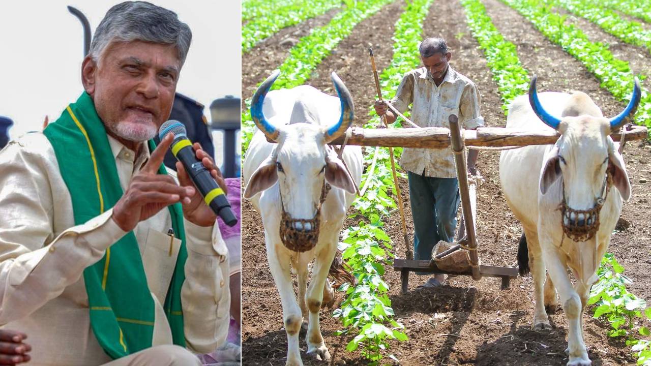 ‘అన్నదాత సుఖీభవ’పై కీలక అప్డేట్.. డబ్బులు పడని రైతులకు గుడ్న్యూస్.. ‘అన్నదాత సుఖీభవ’పై కీలక అప్డేట్.. డబ్బులు పడని రైతులకు గుడ్న్యూస్..