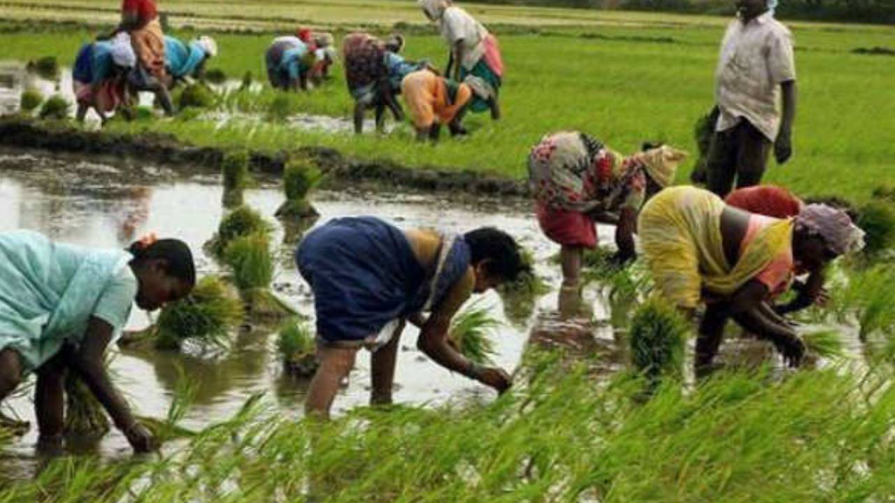 ఏపీలో అన్నదాతలకు బిగ్అలర్ట్.. ఇవాళే మీ బ్యాంక్ ఖాతాల్లో రూ.7వేలు పడేది.. ఈ ప్రాంతాల్లోని రైతులకు మాత్రం డబ్బులు పడవ్.. ఎందుకంటే? ఏపీలో అన్నదాతలకు బిగ్అలర్ట్.. ఇవాళే మీ బ్యాంక్ ఖాతాల్లో రూ.7వేలు పడేది.. ఈ ప్రాంతాల్లోని రైతులకు మాత్రం డబ్బులు పడవ్.. ఎందుకంటే?