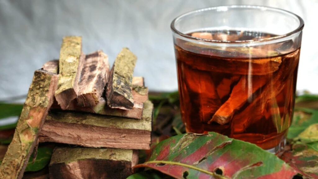 Benefits of consuming Arjuna bark daily for the body