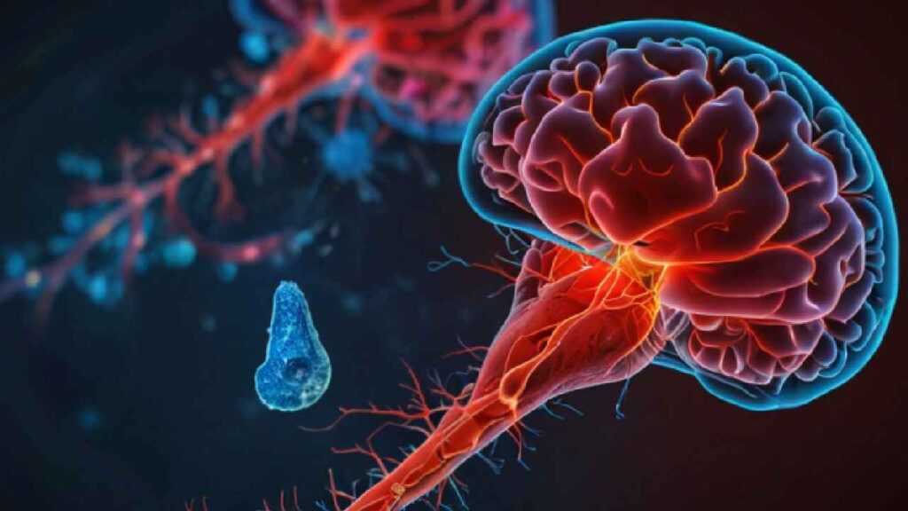 Brain Eating Amoeba