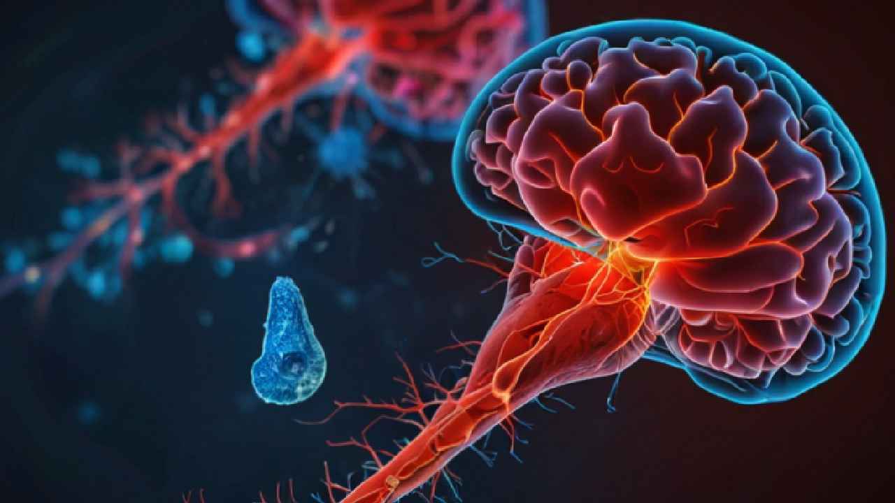Brain Eating Amoeba: ఓమైగాడ్.. బ్రెయిన్ తినేస్తున్న అమీబా.. ఆల్రెడీ 9 ఏళ్ల బాలిక మృతి.. ఏంటీ అమీబా? ఎలా వస్తుంది? Brain Eating Amoeba: ఓమైగాడ్.. బ్రెయిన్ తినేస్తున్న అమీబా.. ఆల్రెడీ 9 ఏళ్ల బాలిక మృతి.. ఏంటీ అమీబా? ఎలా వస్తుంది?