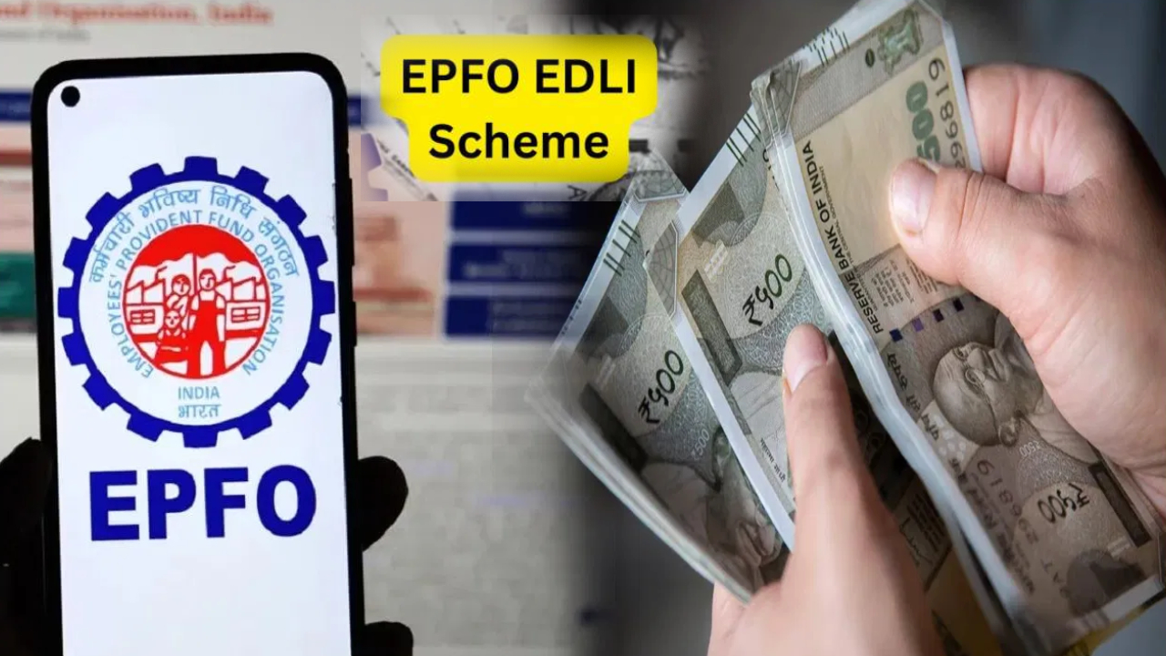 EPFO : ఈపీఎఫ్ఓ అద్భుతమైన స్కీమ్.. ఉద్యోగి సర్వీసులోనే చనిపోతే.. రూ.7 లక్షల వరకు బీమా.. ఎవరు అర్హులు? ఎలా క్లెయిమ్స్ చేయాలంటే? EPFO : ఈపీఎఫ్ఓ అద్భుతమైన స్కీమ్.. ఉద్యోగి సర్వీసులోనే చనిపోతే.. రూ.7 లక్షల వరకు బీమా.. ఎవరు అర్హులు? ఎలా క్లెయిమ్స్ చేయాలంటే?