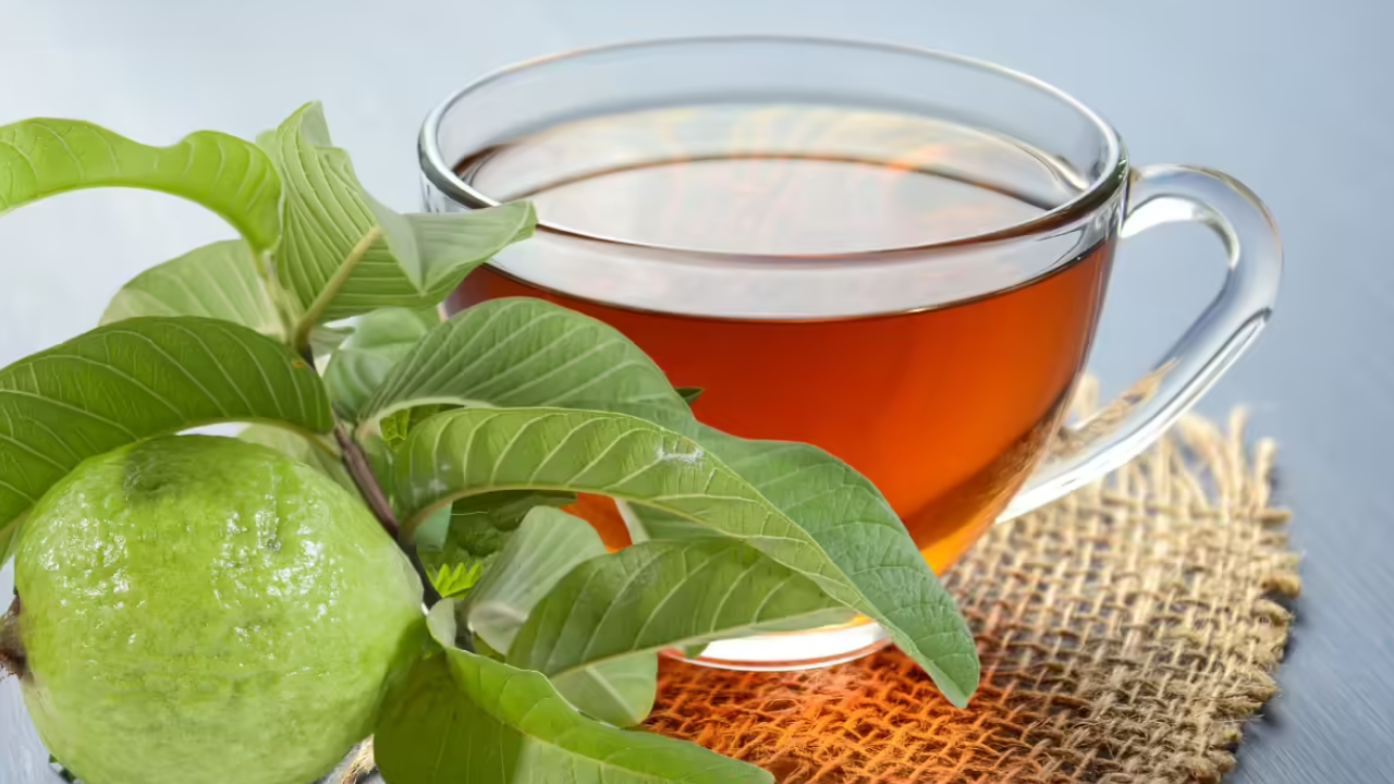 Guava Leaf Tea Benefits: టీ లందు జామ ఆకు టీ శ్రేష్ఠమయా.. రోజూ తాగితే ఎన్నో రోగాలు మాయమయా Guava Leaf Tea Benefits: టీ లందు జామ ఆకు టీ శ్రేష్ఠమయా.. రోజూ తాగితే ఎన్నో రోగాలు మాయమయా