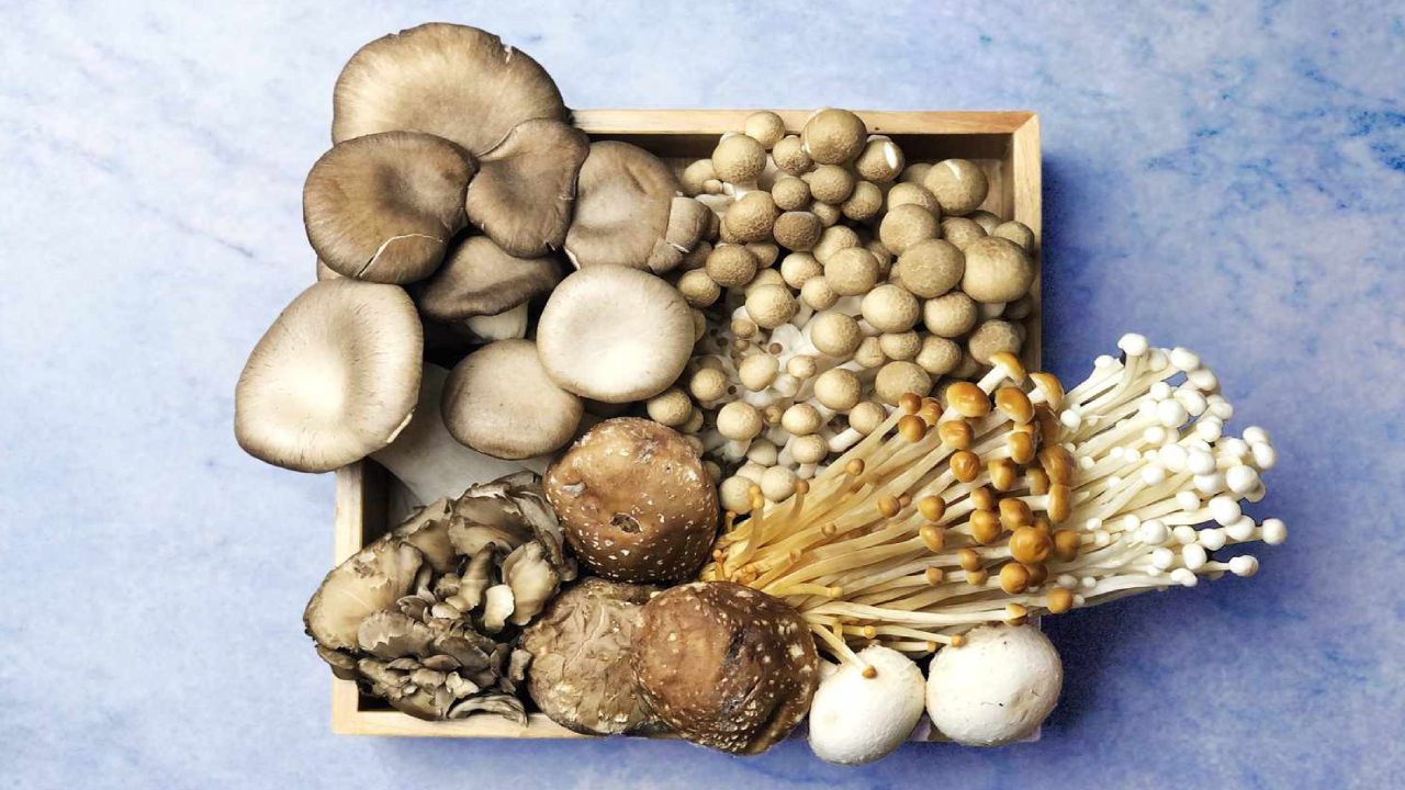 Mushrooms: ఆరోగ్యాన్ని ఆదుకునే పుట్టగొడుగులు.. రోజు తింటే ఎన్ని లాభాలో తెలుసా? Mushrooms: ఆరోగ్యాన్ని ఆదుకునే పుట్టగొడుగులు.. రోజు తింటే ఎన్ని లాభాలో తెలుసా?
