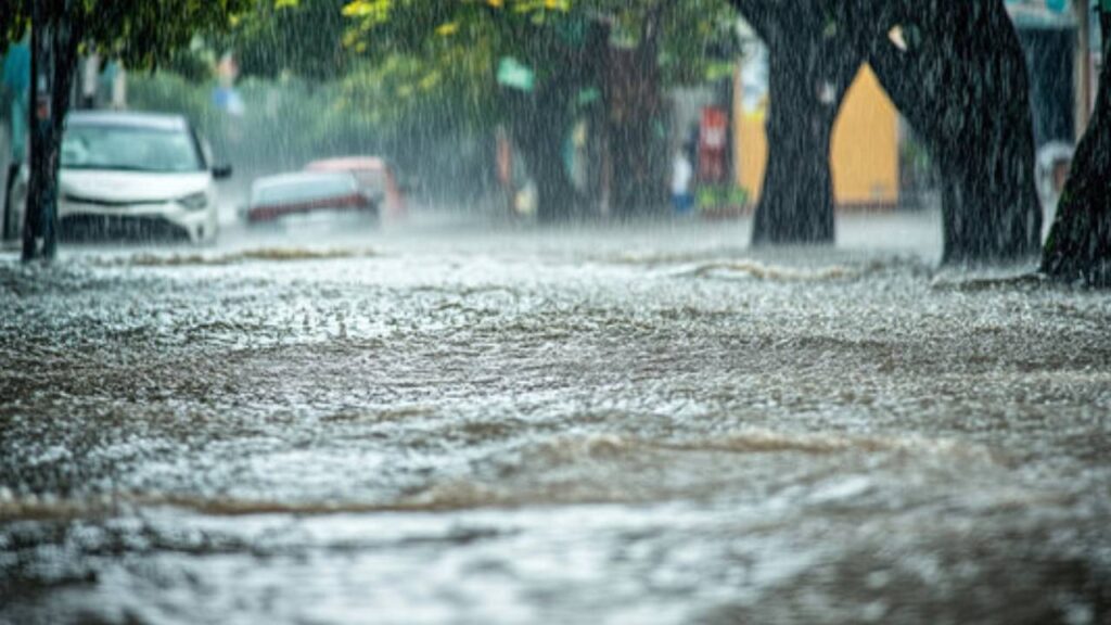 Heavy Rain