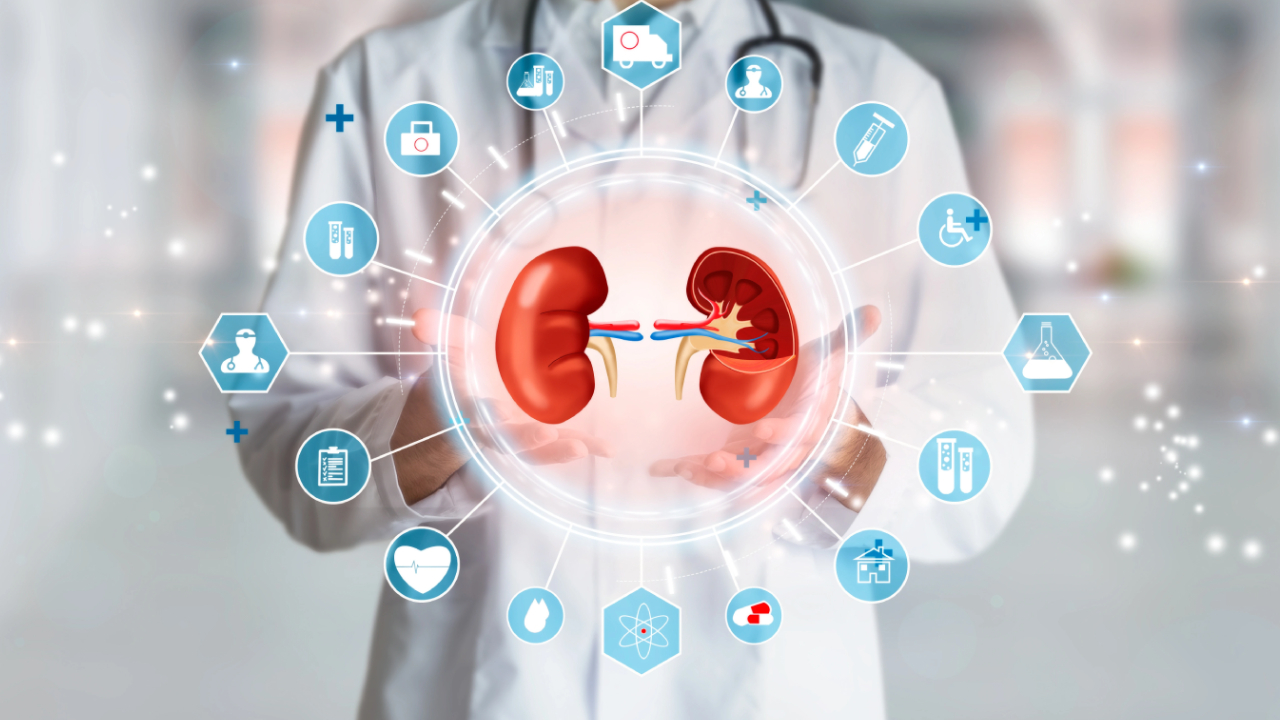 Kidney Health: ఉదయం చేసే ఈ చిన్న పనులు కిడ్నీలను క్లీన్ చేస్తాయి.. మీరు కూడా చేయండి Kidney Health: ఉదయం చేసే ఈ చిన్న పనులు కిడ్నీలను క్లీన్ చేస్తాయి.. మీరు కూడా చేయండి