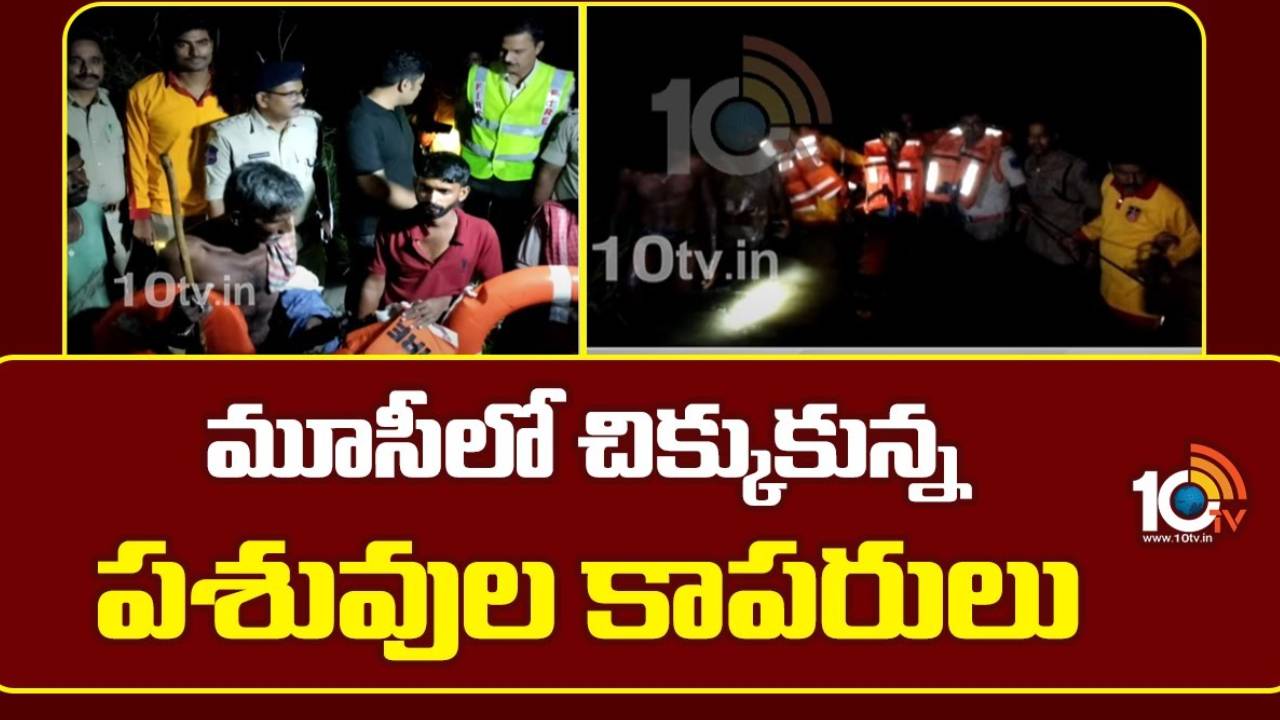 Musi River: మూసీలో రెస్క్యూ ఆపరేషన్.. వరదలో చిక్కుకున్న పశువుల కాపరులు.. Musi River: మూసీలో రెస్క్యూ ఆపరేషన్.. వరదలో చిక్కుకున్న పశువుల కాపరులు..