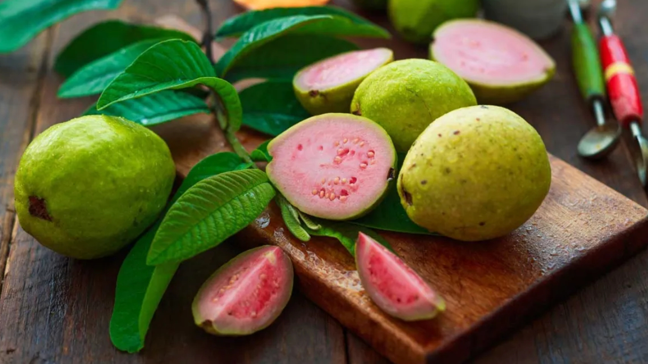 Guava: ఈ సమస్య ఉన్నవారు జామపండు అస్సలు తినకూడదు.. తింటే ఏమవుతుందో తెలుసా? Guava: ఈ సమస్య ఉన్నవారు జామపండు అస్సలు తినకూడదు.. తింటే ఏమవుతుందో తెలుసా?