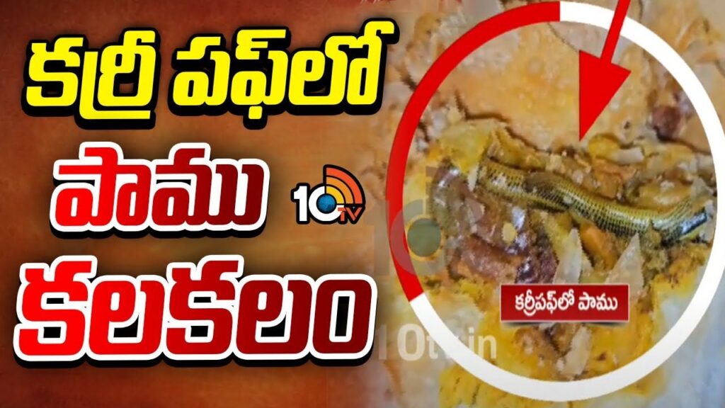 Snake In Curry puff