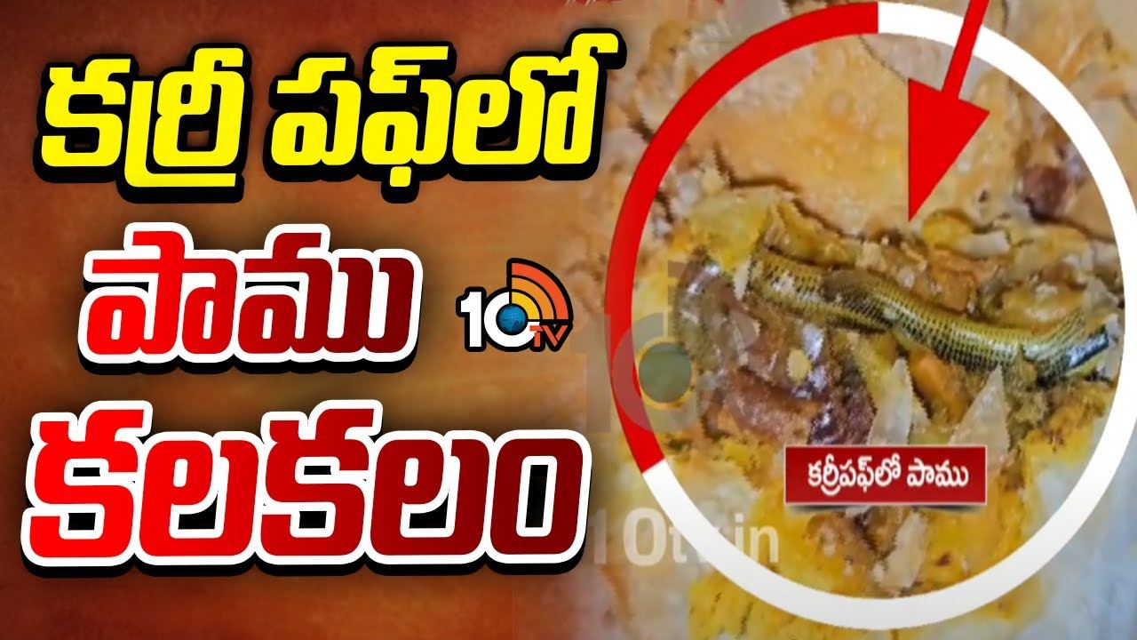 Snake : కర్రీ పఫ్ లో పాము కలకలం