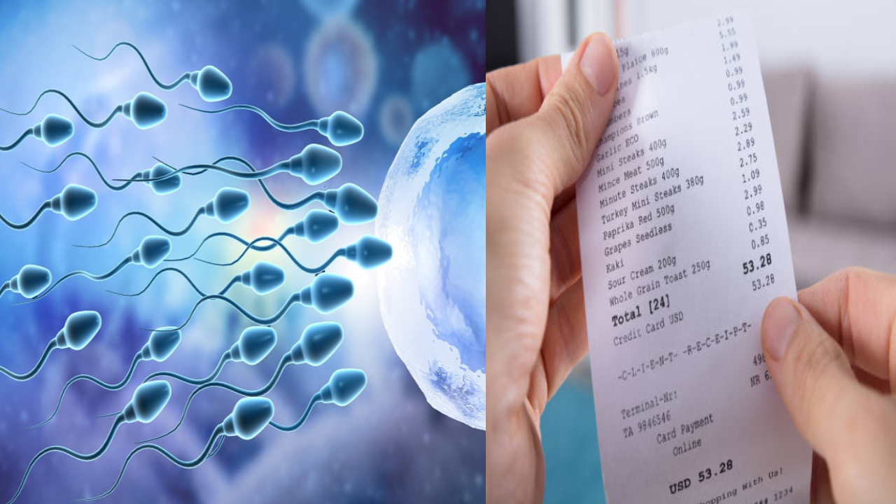 Sperm Count: మగవాళ్ళు జాగ్రత్త.. బిల్ పేపర్ పట్టుకుంటే స్పెర్మ్ కౌంట్ ఢమాల్.. షాకింగ్ రీసెర్చ్ Sperm Count: మగవాళ్ళు జాగ్రత్త.. బిల్ పేపర్ పట్టుకుంటే స్పెర్మ్ కౌంట్ ఢమాల్.. షాకింగ్ రీసెర్చ్