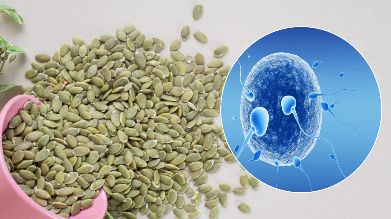 Sperm Count: స్పెర్మ్ కౌంట్ తగ్గుతోందా.. అయితే ఈ గింజలు రోజూ తినండి.. పుష్కలంగా పెరుగుతుంది Sperm Count: స్పెర్మ్ కౌంట్ తగ్గుతోందా.. అయితే ఈ గింజలు రోజూ తినండి.. పుష్కలంగా పెరుగుతుంది