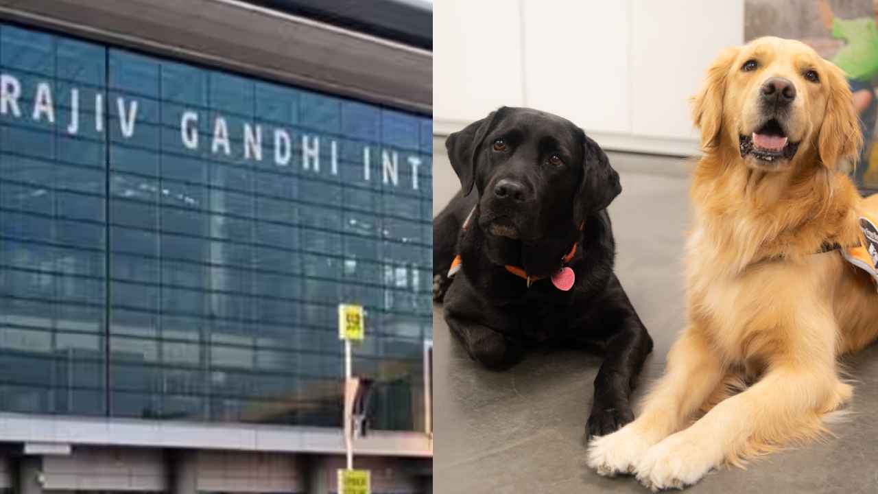 Therapy Dog: హైదరాబాద్ ఎయిర్ పోర్టులో కుక్కలు.. ప్రయాణీకుల కోసం స్పెషల్ ప్రోగ్రామ్.. లాభాలు ఏంటంటే.. Therapy Dog: హైదరాబాద్ ఎయిర్ పోర్టులో కుక్కలు.. ప్రయాణీకుల కోసం స్పెషల్ ప్రోగ్రామ్.. లాభాలు ఏంటంటే..