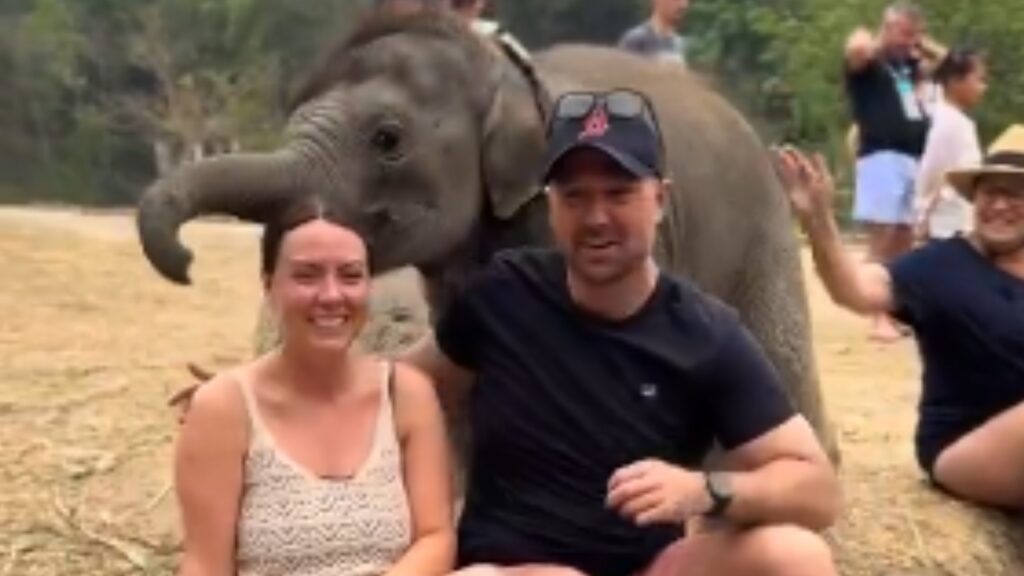 elephants spontaneous gesture