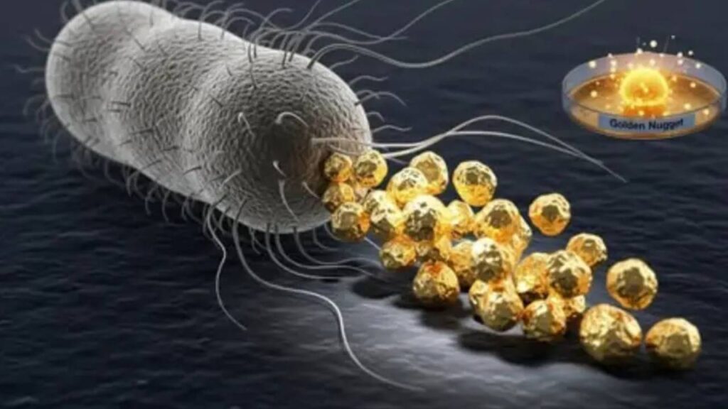 Gold Pooping Bacteria