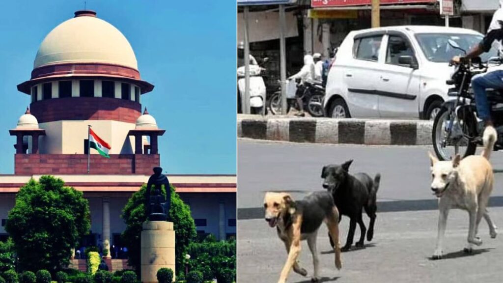 supreme court