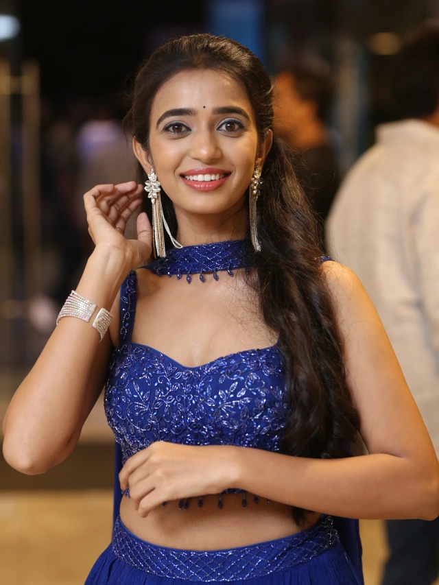 Vijay Antony Bhadrakaali Pre Release Event