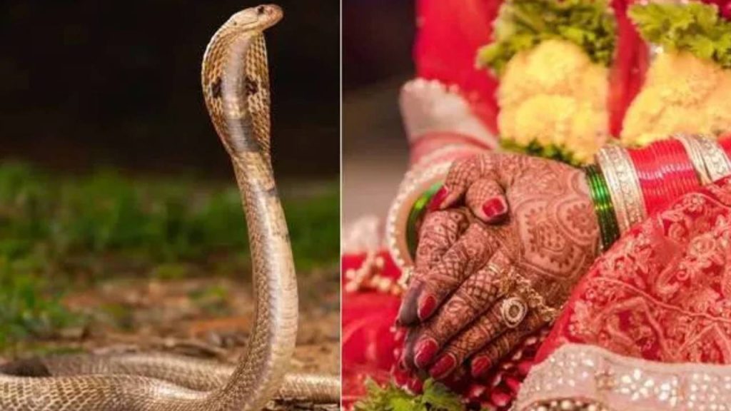 Dowry Dispute