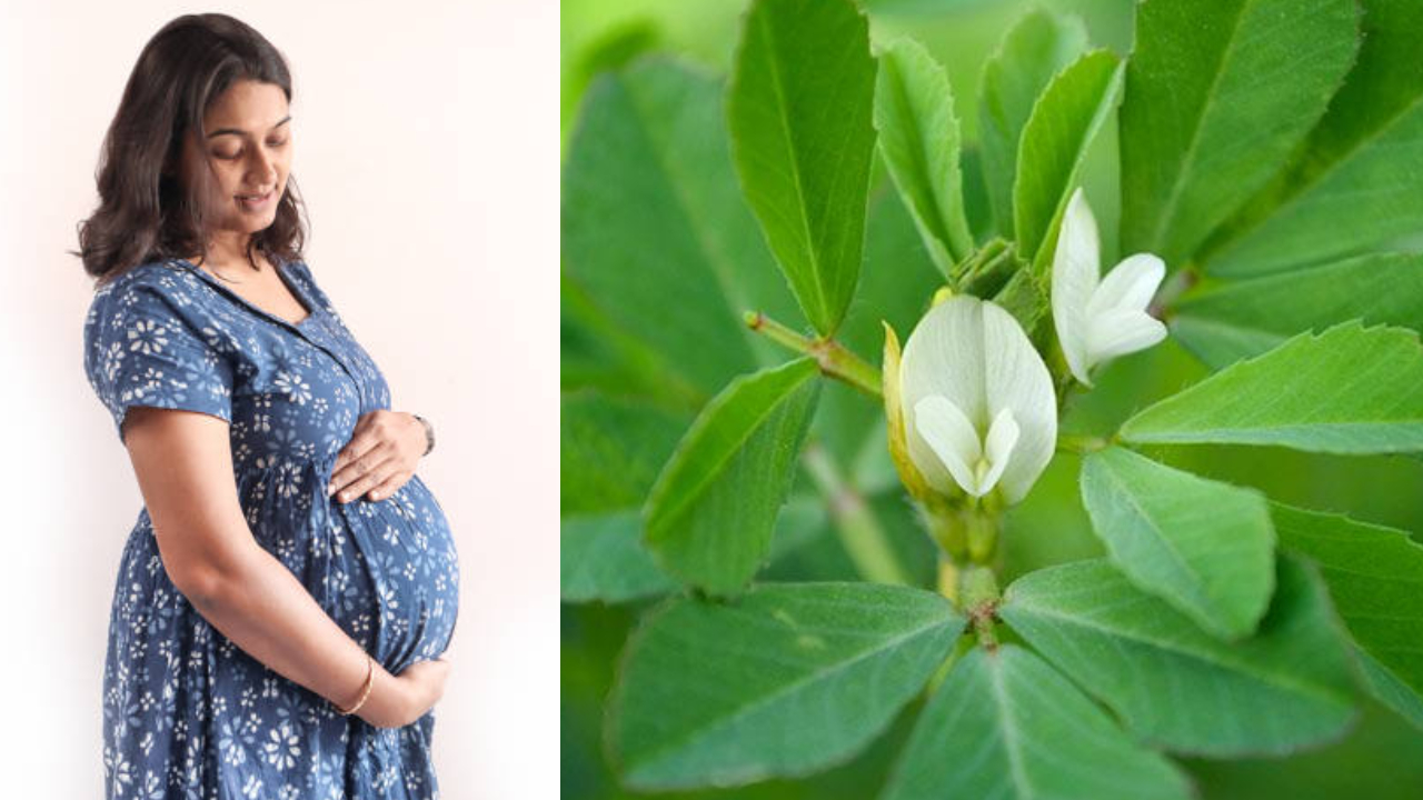 Fenugreek Flowers: గర్భిణీలకు మునగ పువ్వు ఒక వరం.. ఎన్నో అద్భుతమైన ప్రయోజనాలు ఉన్నాయో తెలుసా? Fenugreek Flowers: గర్భిణీలకు మునగ పువ్వు ఒక వరం.. ఎన్నో అద్భుతమైన ప్రయోజనాలు ఉన్నాయో తెలుసా?