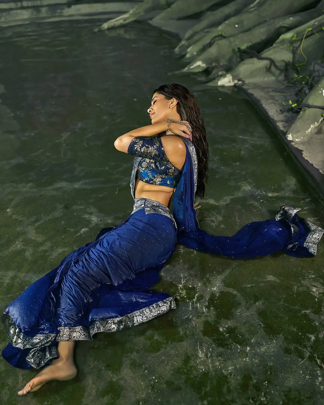 Nabha Natesh Sizzling Photos in Saree