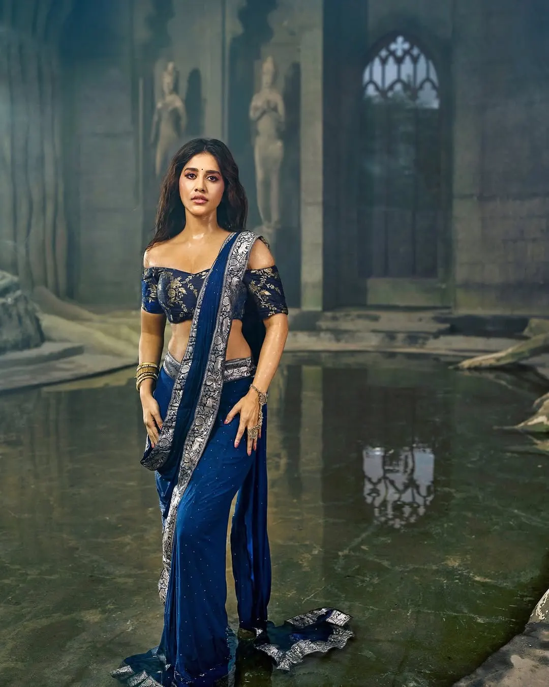 Nabha Natesh Sizzling Photos in Saree