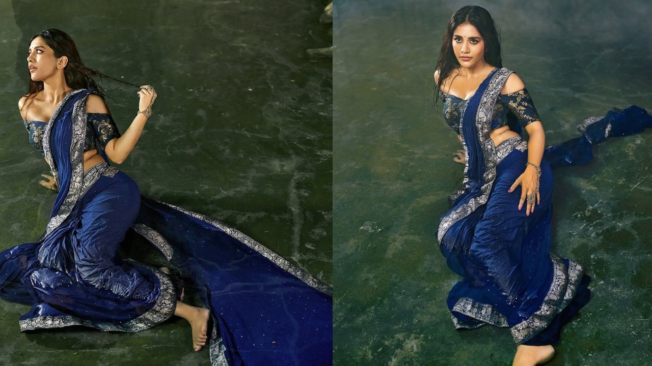 Nabha Natesh : తడిచిన అందాలతో నషా ఎక్కిస్తున్న నభా నటేష్.. ఫొటోలు..