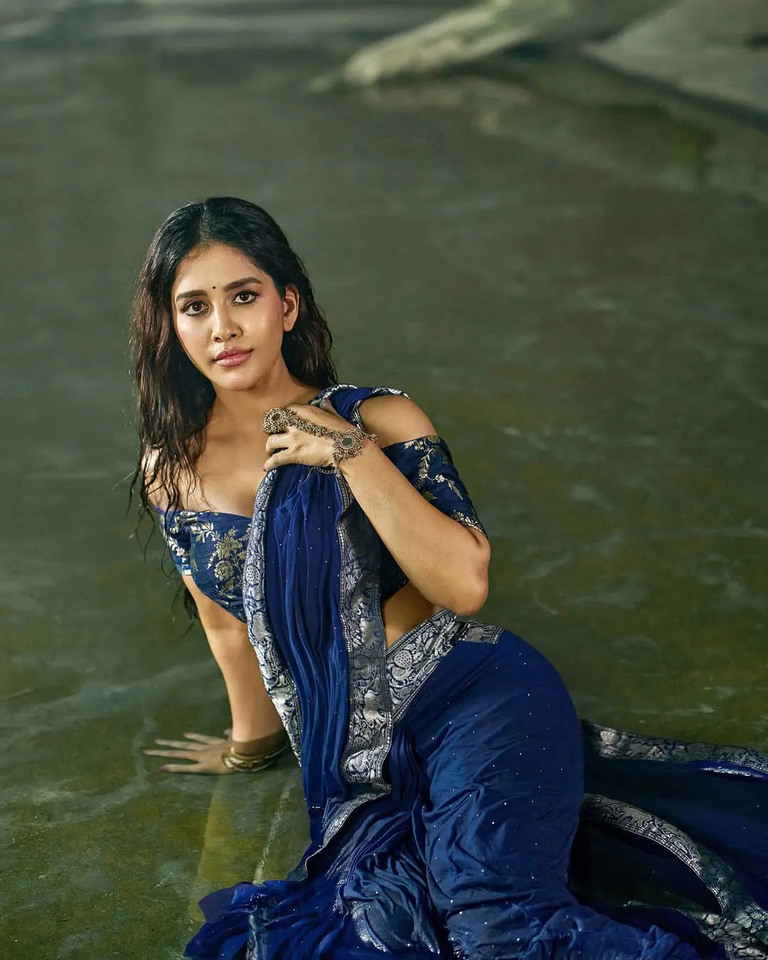 Nabha Natesh Sizzling Photos in Saree