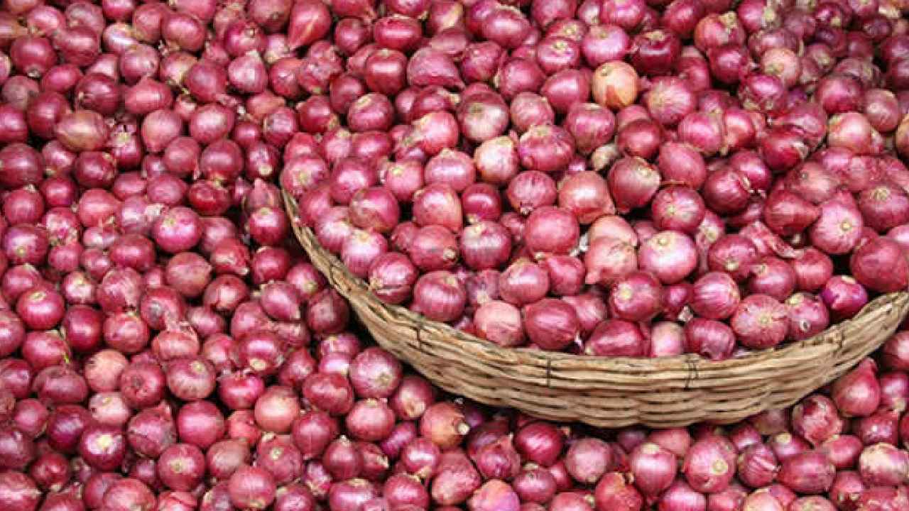 Onion Farmers: ఉల్లి రైతులకు ఏపీ ప్రభుత్వం గుడ్ న్యూస్.. హెక్టార్కి 50వేలు.. Onion Farmers: ఉల్లి రైతులకు ఏపీ ప్రభుత్వం గుడ్ న్యూస్.. హెక్టార్కి 50వేలు..
