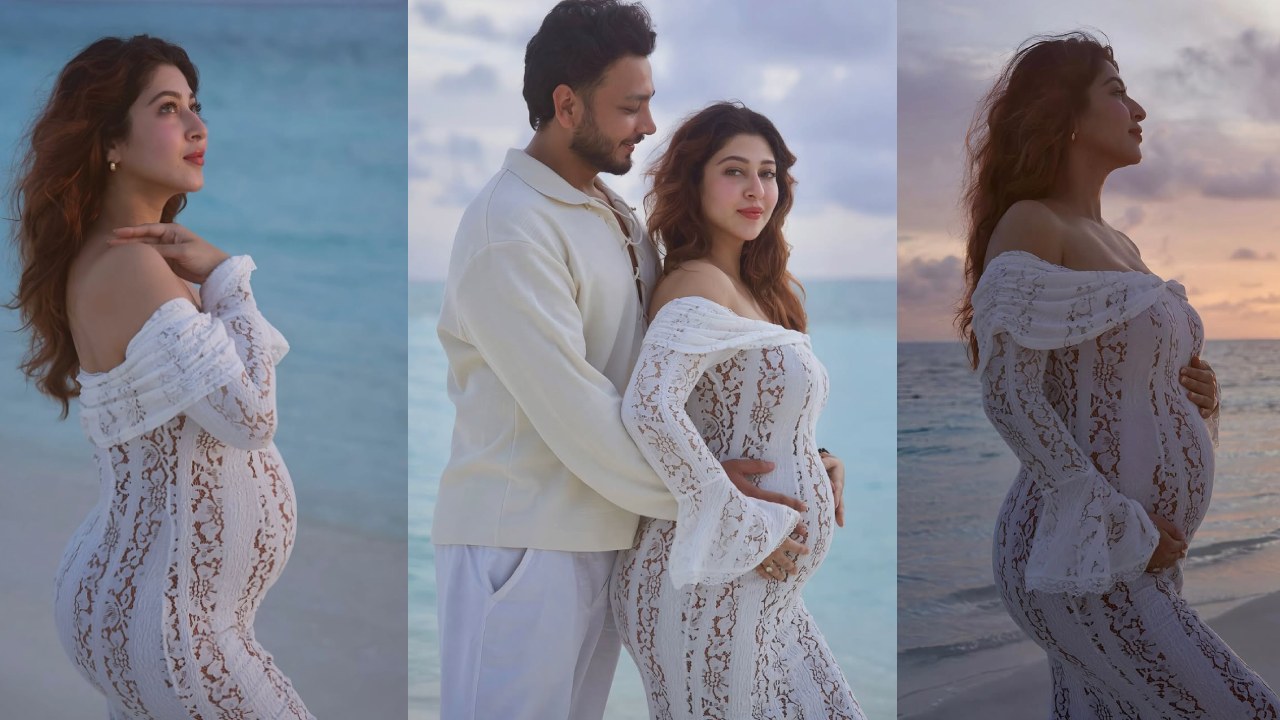 Sonarika Bhadoria : తల్లి కాబోతున్న టాలీవుడ్ హీరోయిన్.. భర్తతో కలిసి బేబీ బంప్ ఫొటోలు..