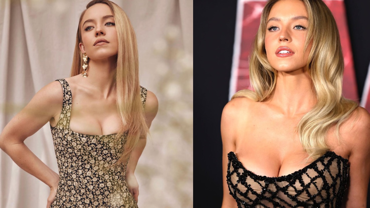 Sydney Sweeney : బాలీవుడ్ సినిమా కోసం హాలీవుడ్ హీరోయిన్.. వామ్మో ఏకంగా 530 కోట్ల రెమ్యునరేషన్ ఇచ్చి..? Sydney Sweeney : బాలీవుడ్ సినిమా కోసం హాలీవుడ్ హీరోయిన్.. వామ్మో ఏకంగా 530 కోట్ల రెమ్యునరేషన్ ఇచ్చి..?