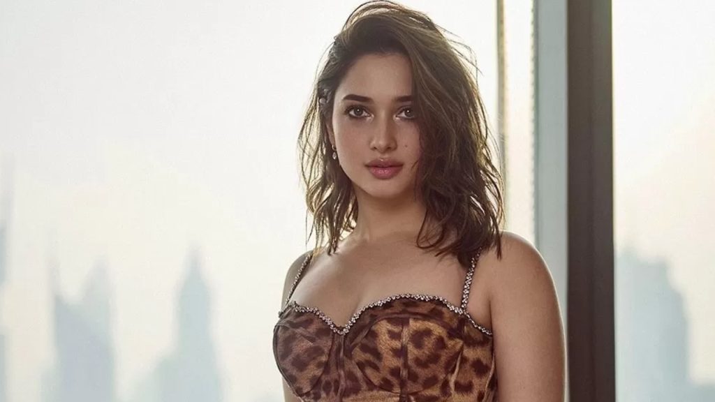 Tamannaah made interesting comments about item songs