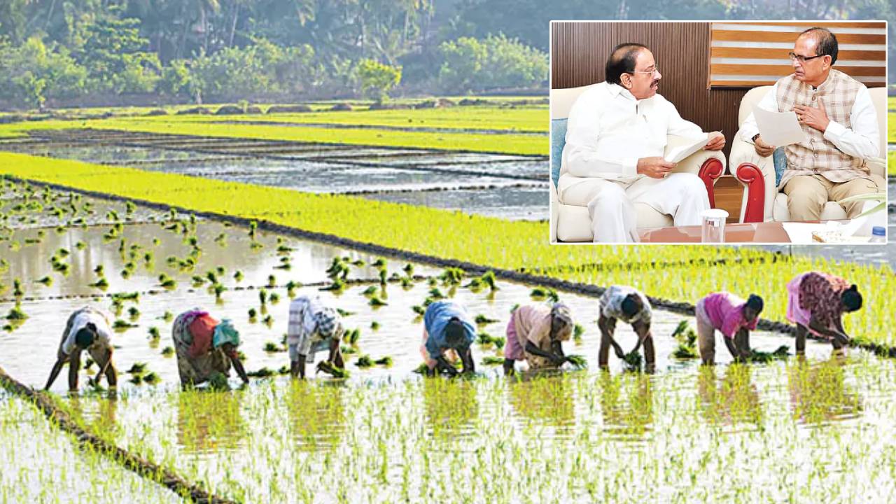 Telangana : తెలంగాణలోని ఈ ఐదు జిల్లాలను ధన ధాన్య యోజనలో చేర్చండి.. కేంద్రానికి విజ్ఞప్తి.. ఈ పథకం వల్ల రైతులకు ప్రయోజనం ఏమిటంటే? Telangana : తెలంగాణలోని ఈ ఐదు జిల్లాలను ధన ధాన్య యోజనలో చేర్చండి.. కేంద్రానికి విజ్ఞప్తి.. ఈ పథకం వల్ల రైతులకు ప్రయోజనం ఏమిటంటే?