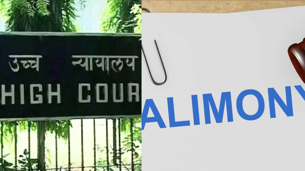 Alimony Case: అలాంటి భార్యలకు భరణం చెల్లించాల్సిన అవసరం లేదు.. ఢిల్లీ హైకోర్టు సంచలన తీర్పు Alimony Case: అలాంటి భార్యలకు భరణం చెల్లించాల్సిన అవసరం లేదు.. ఢిల్లీ హైకోర్టు సంచలన తీర్పు