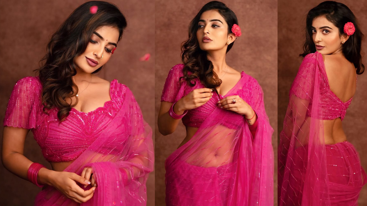 Ananya Nagalla: పింక్ శారీలో అనన్య నాగళ్ళ.. అందంతో పరువపు వల.. ఫోటోలు