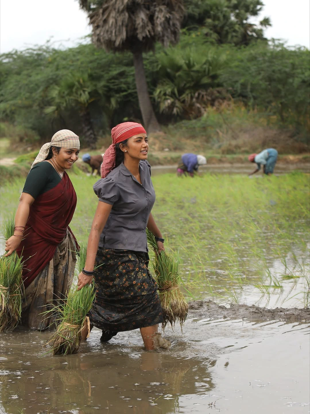 Anupama Parameswaran Shares Bison Movie Working Stills