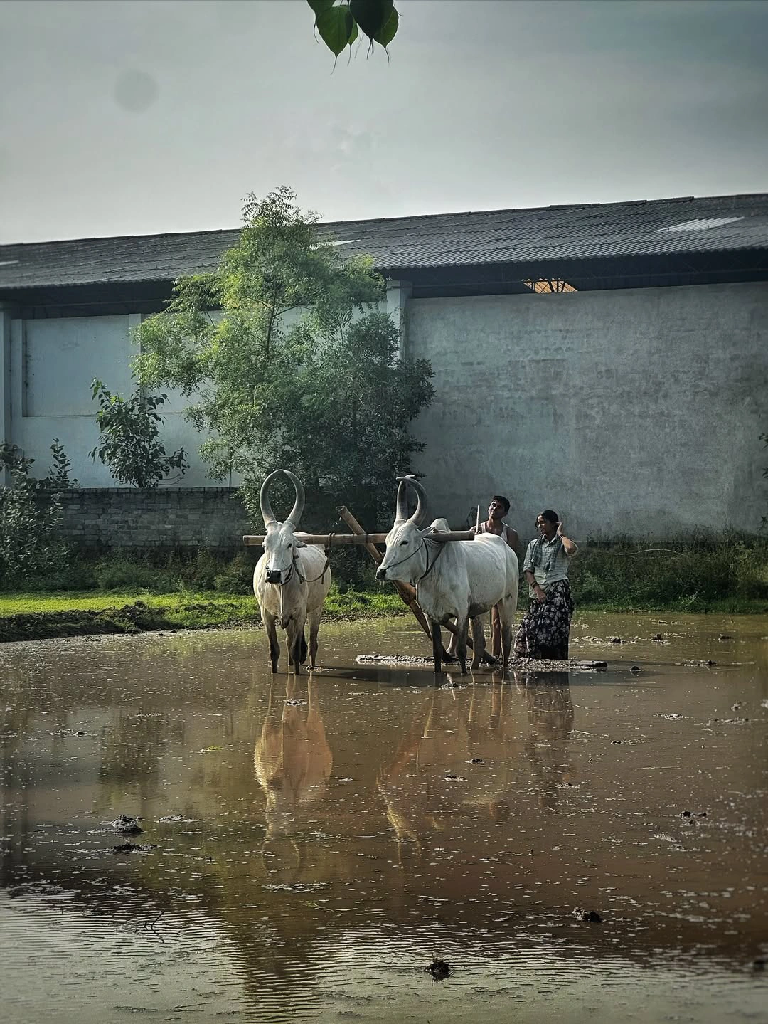 Anupama Parameswaran Shares Bison Movie Working Stills