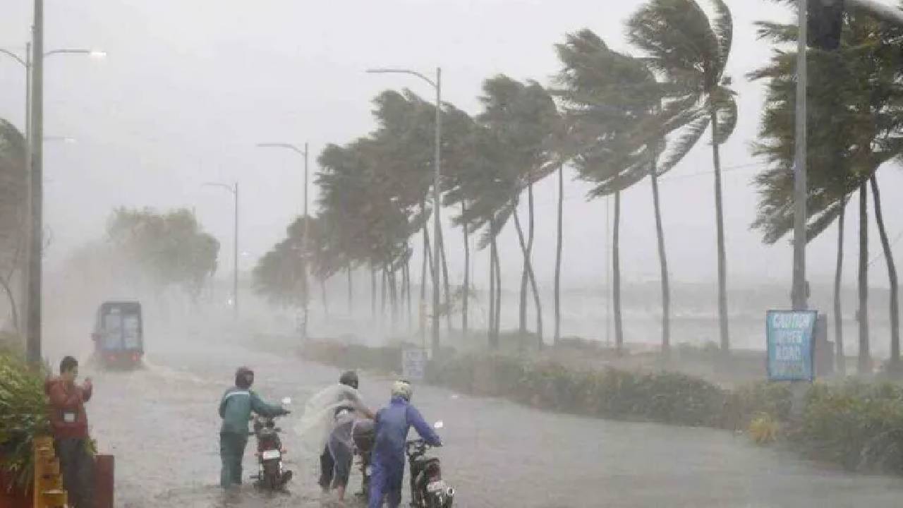 మొంథా తుపాను.. 27, 28, 29 తేదీల్లో ఈ ఉద్యోగుల సెలవులు రద్దు.. మీ జిల్లాల్లో మీకు సమస్యలు ఎదురైతే ఈ నంబర్కు ఫోన్ చేయండి.. మొంథా తుపాను.. 27, 28, 29 తేదీల్లో ఈ ఉద్యోగుల సెలవులు రద్దు.. మీ జిల్లాల్లో మీకు సమస్యలు ఎదురైతే ఈ నంబర్కు ఫోన్ చేయండి..