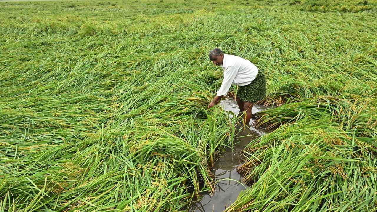Cyclone Montha: మొంథా తుపాను నష్టంపై ఏపీ సర్కార్ ప్రాథమిక అంచనా.. ఎన్ని వేల కోట్లు అంటే.. Cyclone Montha: మొంథా తుపాను నష్టంపై ఏపీ సర్కార్ ప్రాథమిక అంచనా.. ఎన్ని వేల కోట్లు అంటే..