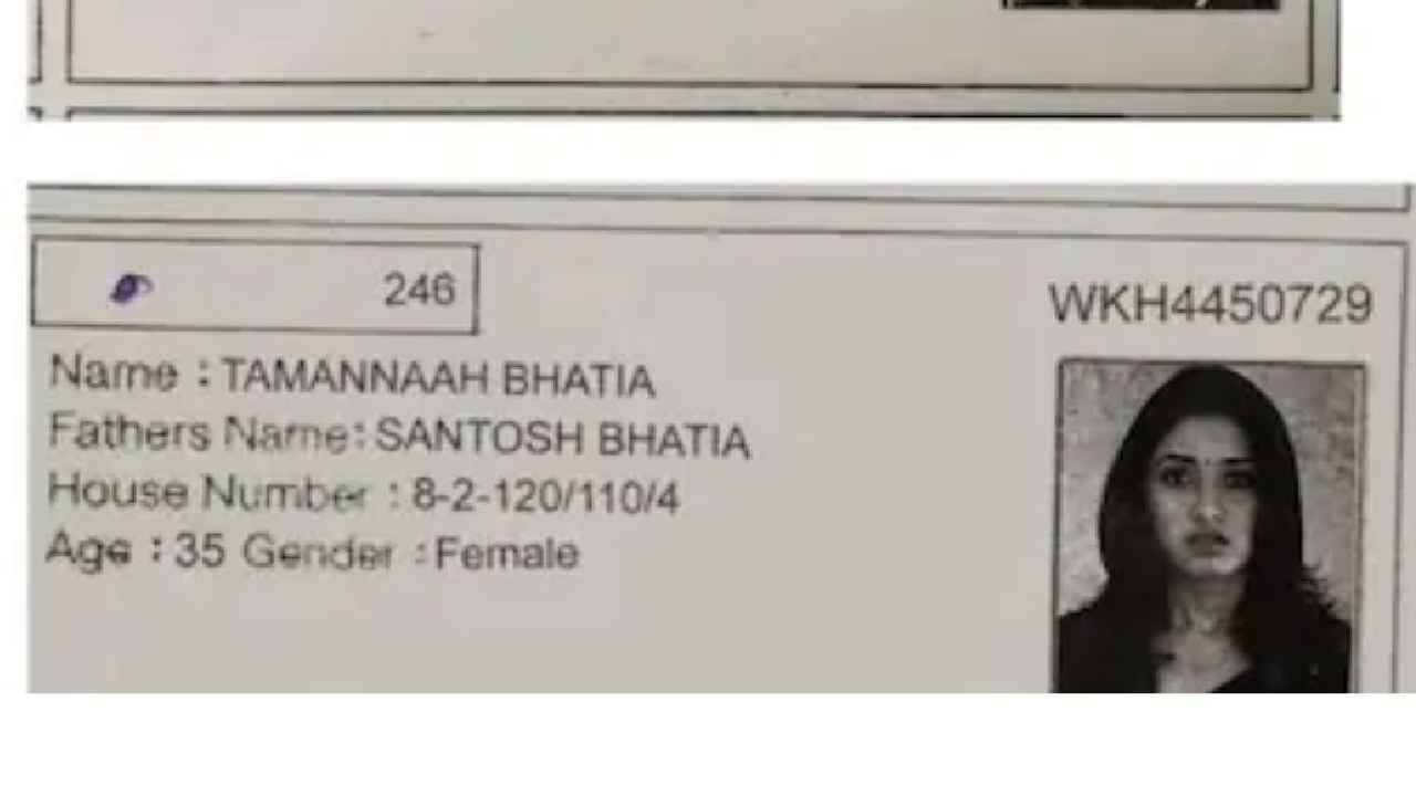 Fake Voter ID Cards