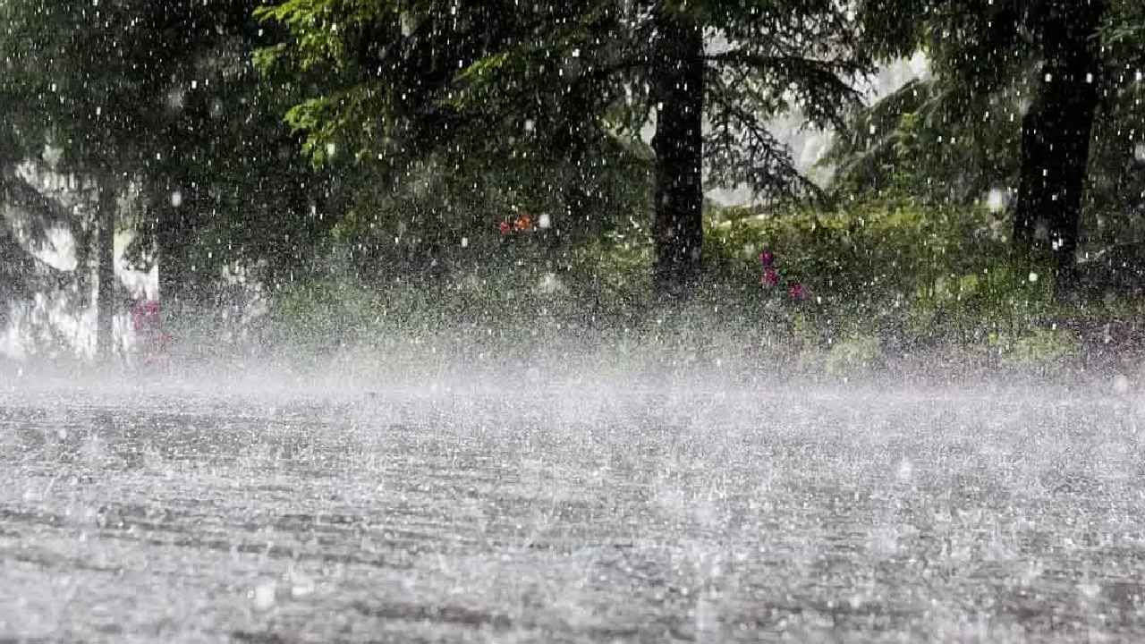 Srikakulam Rains: తీవ్ర వాయుగుండం ఎఫెక్ట్.. శ్రీకాకుళంలో దంచికొడుతున్న వర్షాలు.. ప్రజలు అప్రమత్తంగా ఉండాలని ఆదేశాలు.. Srikakulam Rains: తీవ్ర వాయుగుండం ఎఫెక్ట్.. శ్రీకాకుళంలో దంచికొడుతున్న వర్షాలు.. ప్రజలు అప్రమత్తంగా ఉండాలని ఆదేశాలు..