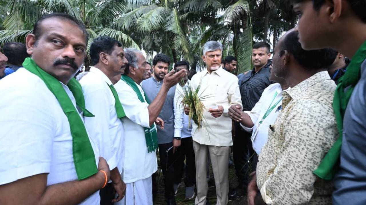 AP Govt : ‘మొంథా’ తుపాన్‌.. ఏపీలో ఎన్ని ఎకరాల్లో పంటలకు నష్టం వాటిల్లిందో తెలుసా.. వాళ్లకు రూ.5లక్షలు