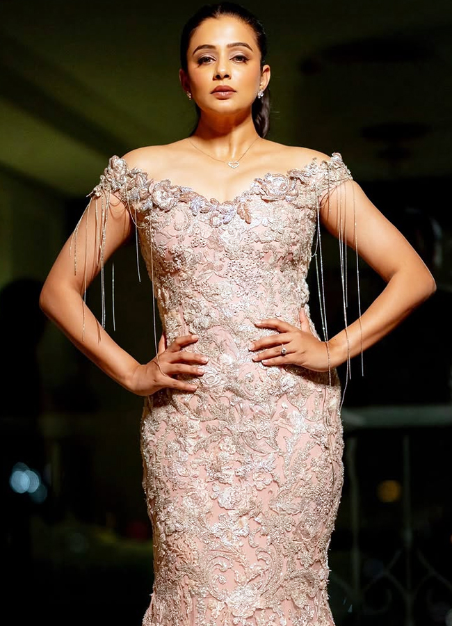 Priyamani dazzled in a designer dress at the Filmfare ceremony