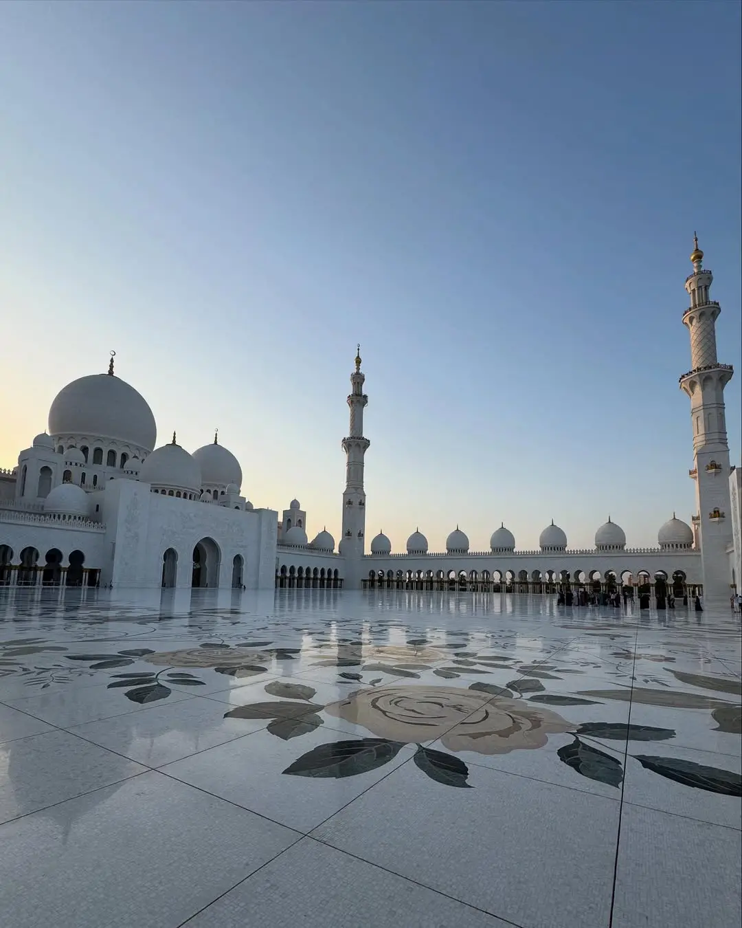 Priyanka Mohan Dubai vacation photos are going viral on social media.