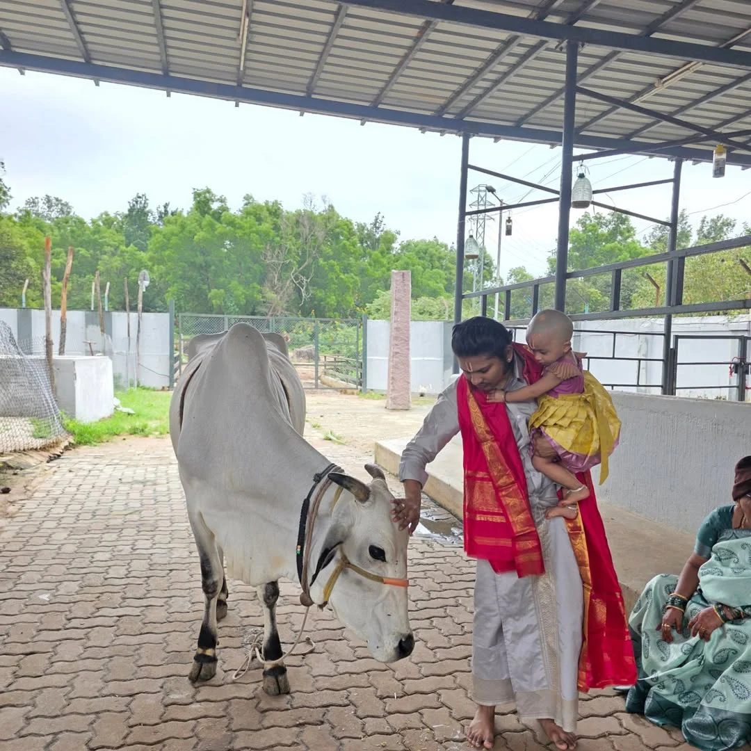 Jabardasth Rocking Rakesh Perform Cow Pooja